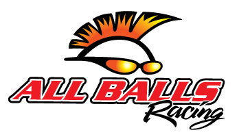 Логотип AllBallsRacing.su